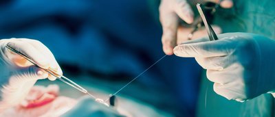 Naht- und Knotenkurs