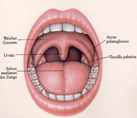 Ca tonsillen Tonsil cancer